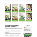 we're a professional web designer & developer