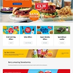 Professional Website Design & Development Services