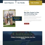 Professional Website Design & Development Services